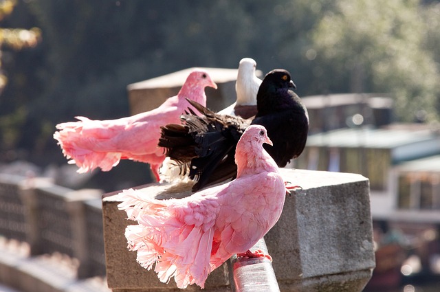在勇士队的 在勇士队的
