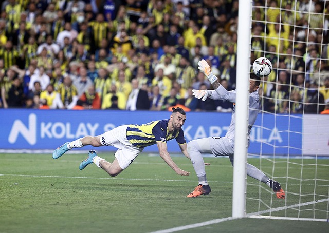 每年冬季都 每年冬季都