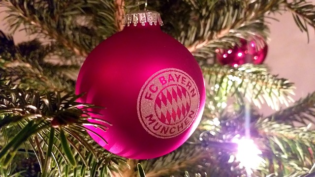 伴随着校园 伴随着校园