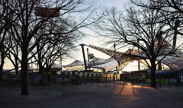 的一场焦点 的一场焦点