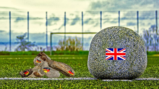 不仅提升了 不仅提升了