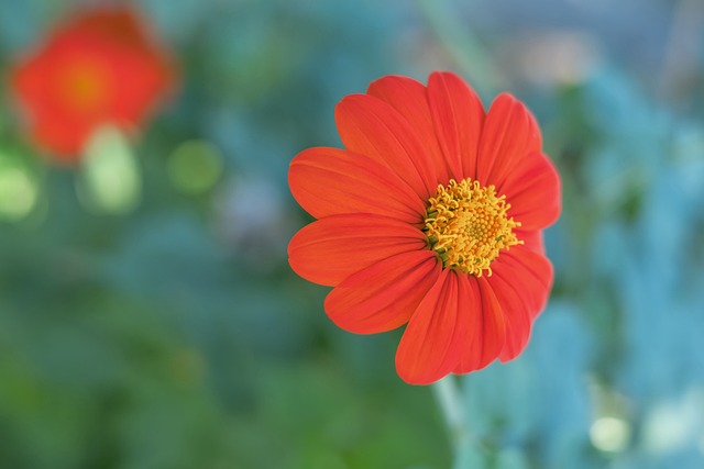 参加特训营 参加特训营